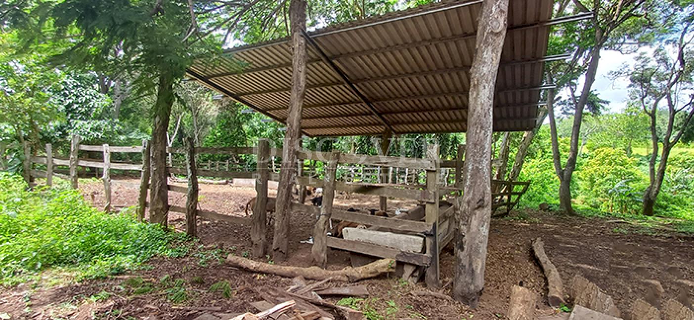 Imagen 3 de la galería