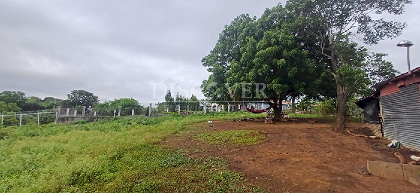 Imagen 2 de la galería