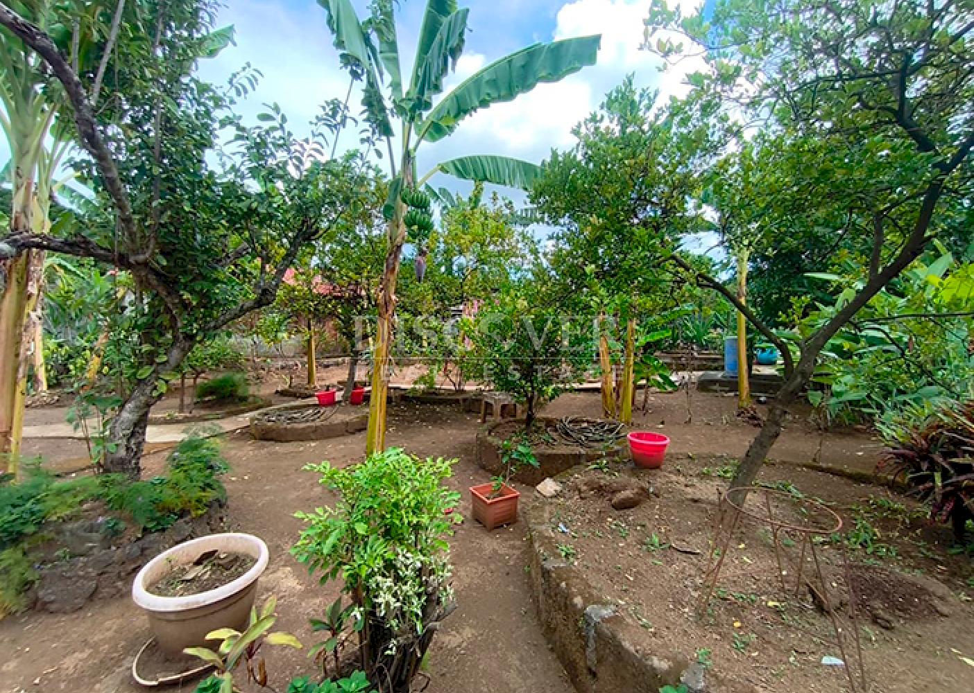 Land with Country House for sale in Santo Domingo