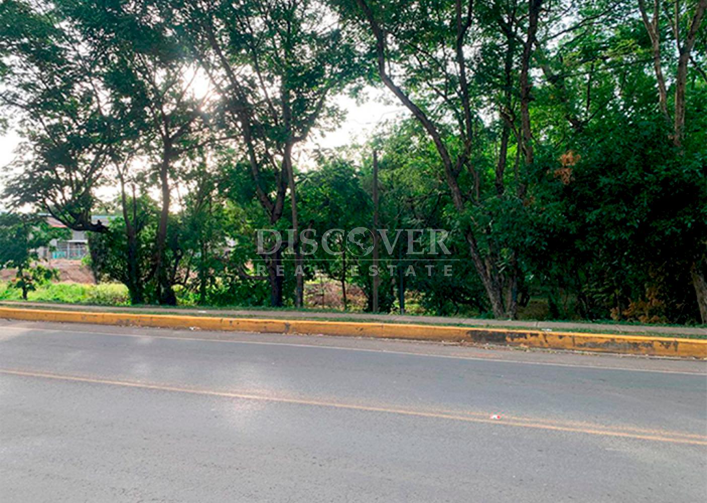 Imagen 4 de la galería