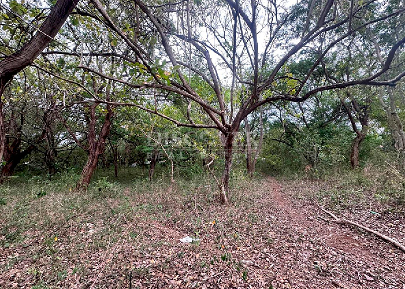 Imagen 5 de la galería