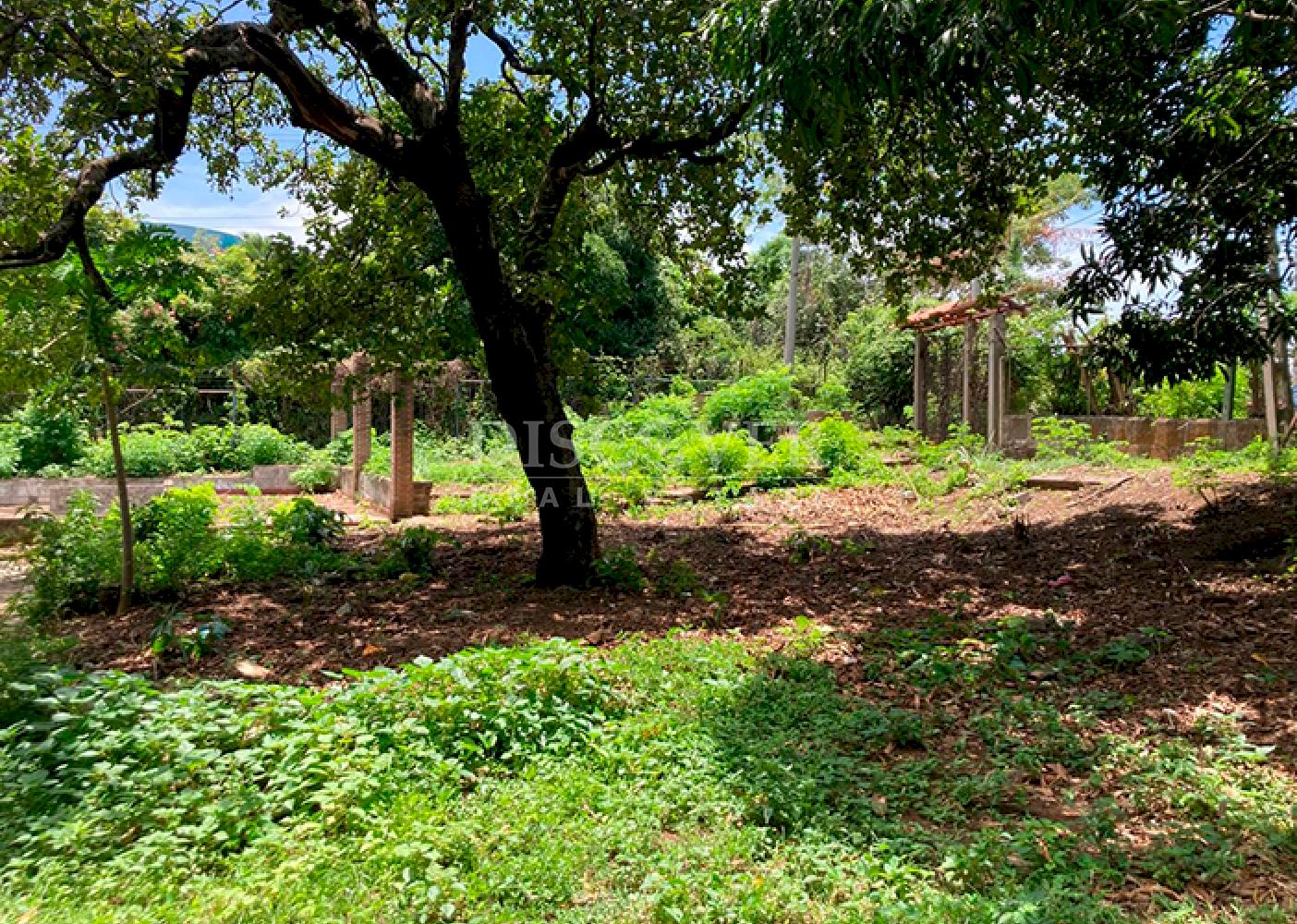  Unique Opportunity on Carretera Sur