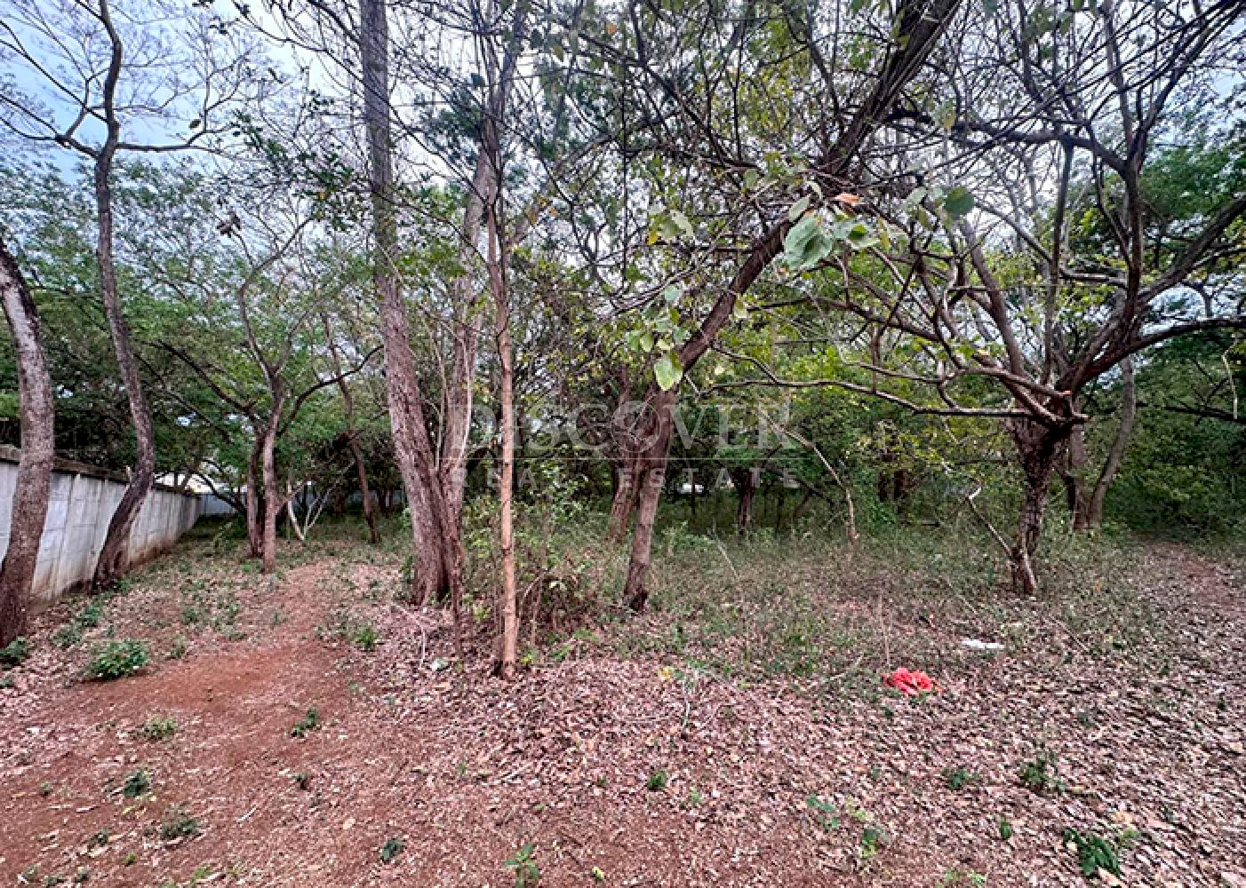 Imagen 4 de la galería