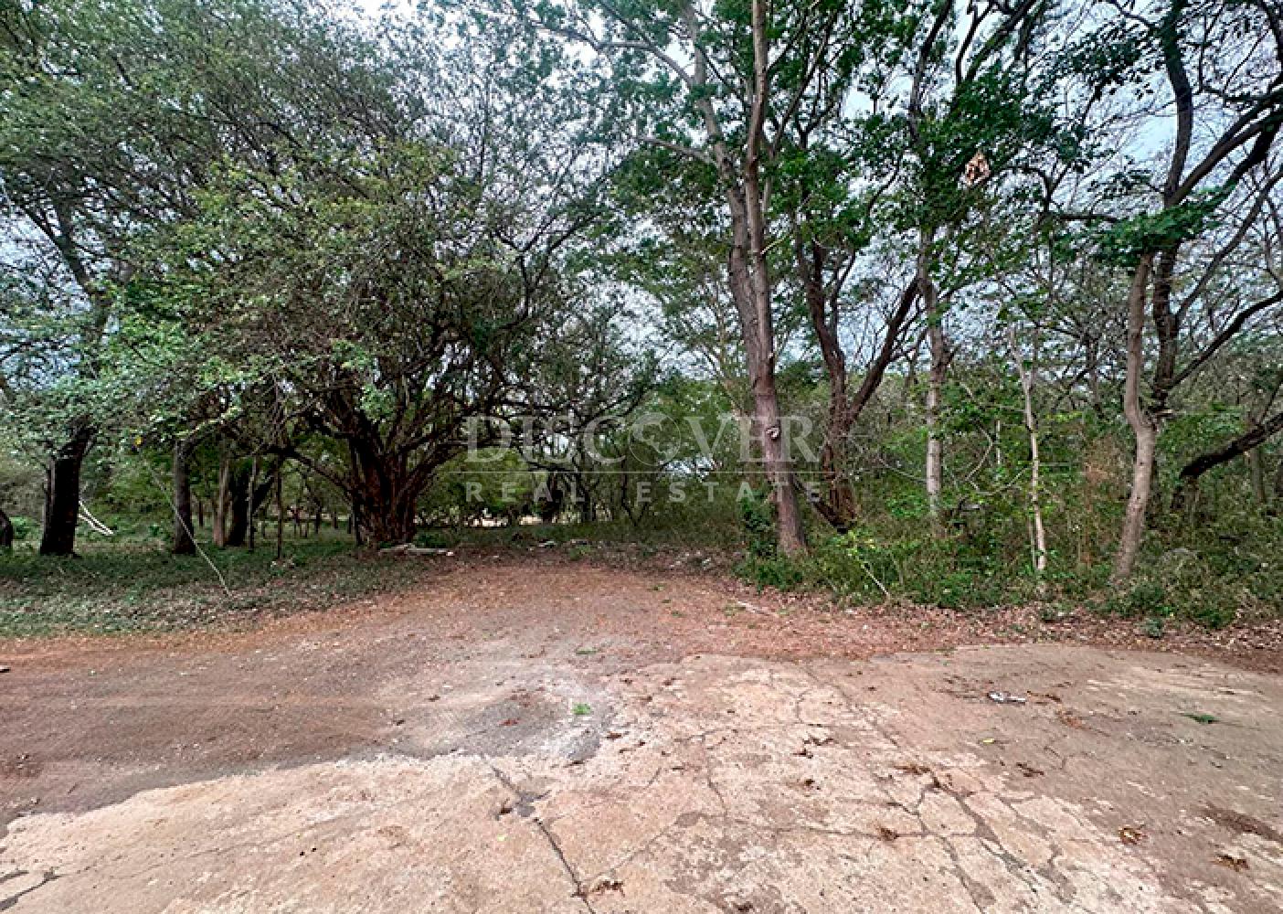 Imagen 3 de la galería