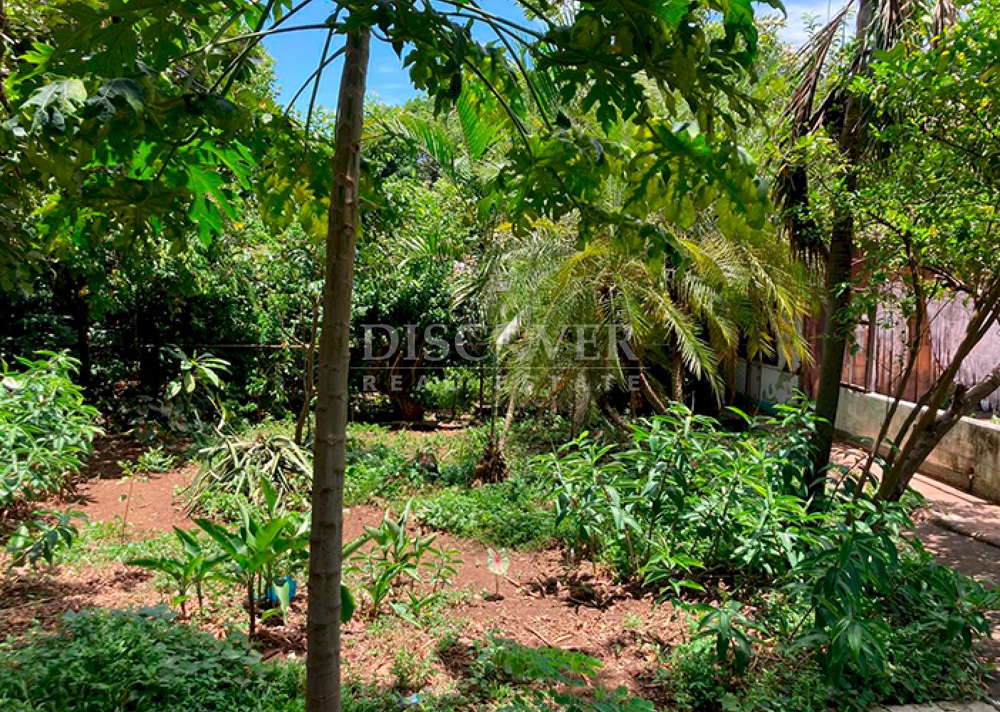  Unique Opportunity on Carretera Sur