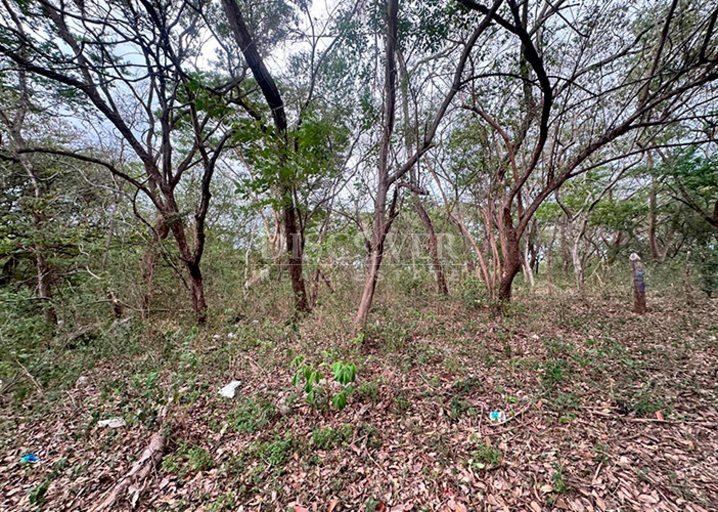Imagen 1 de la galería