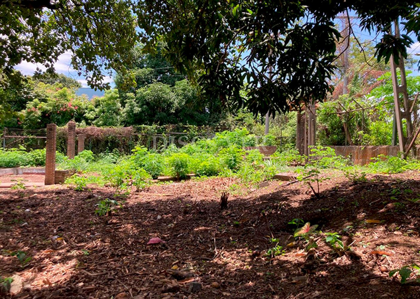  Unique Opportunity on Carretera Sur