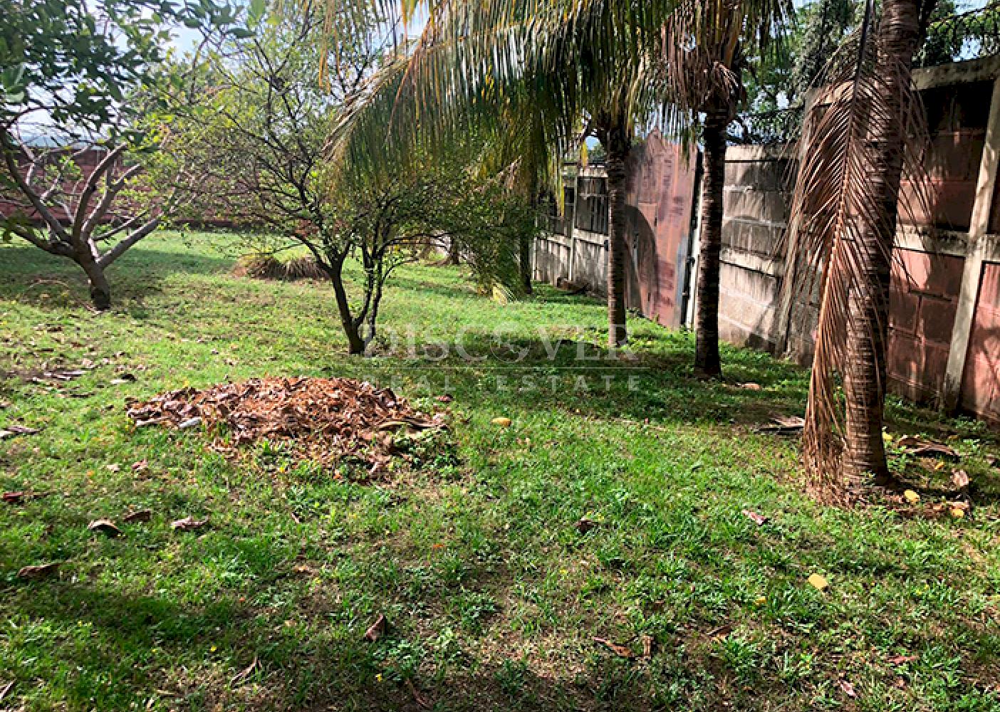 Imagen 6 de la galería