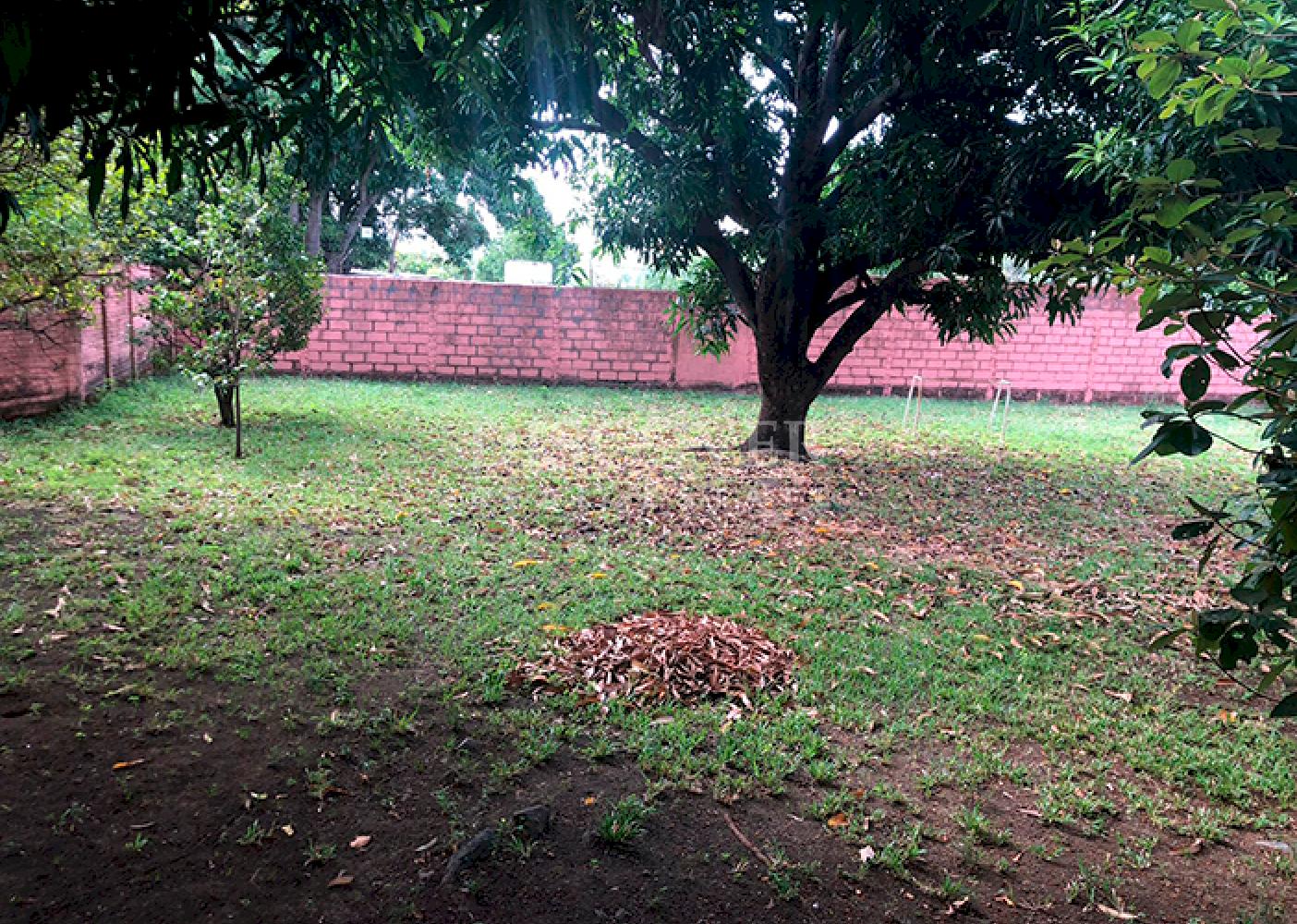 Imagen 1 de la galería