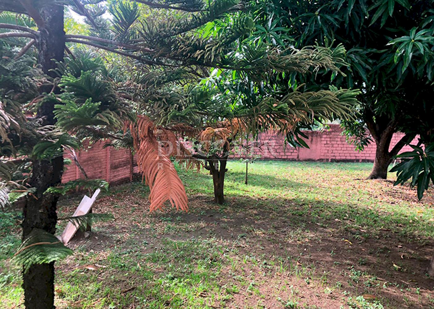 Imagen 3 de la galería