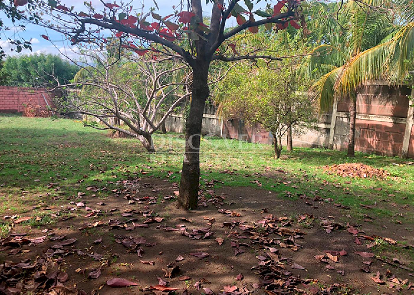 Imagen 2 de la galería