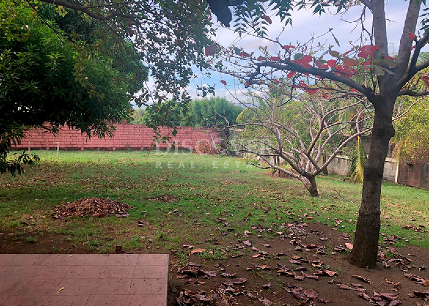 Imagen 4 de la galería