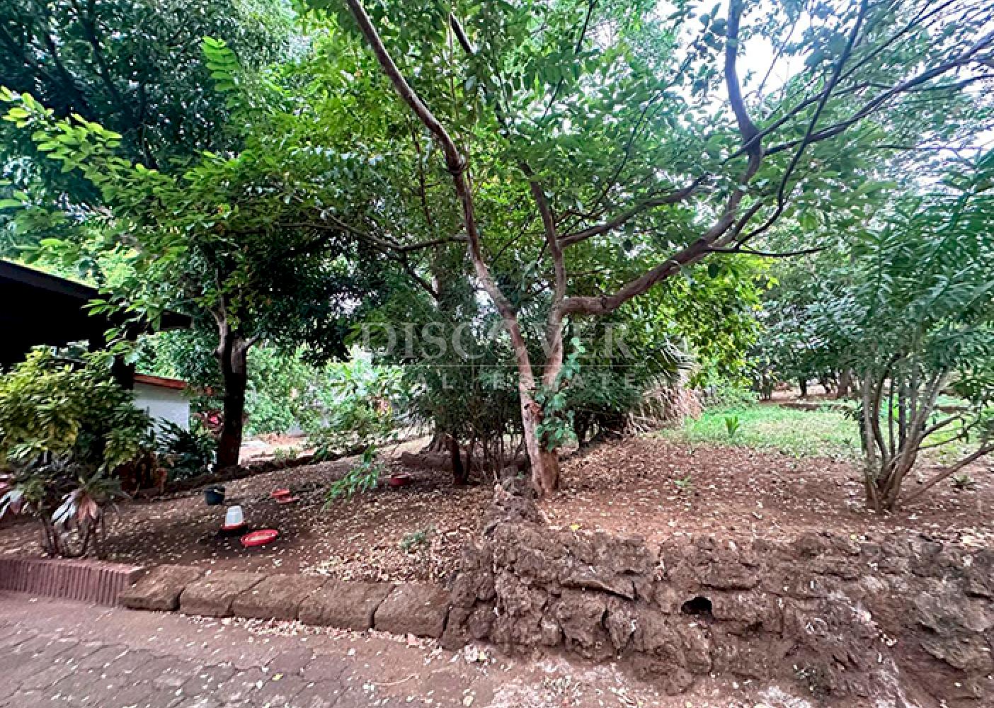 Imagen 7 de la galería