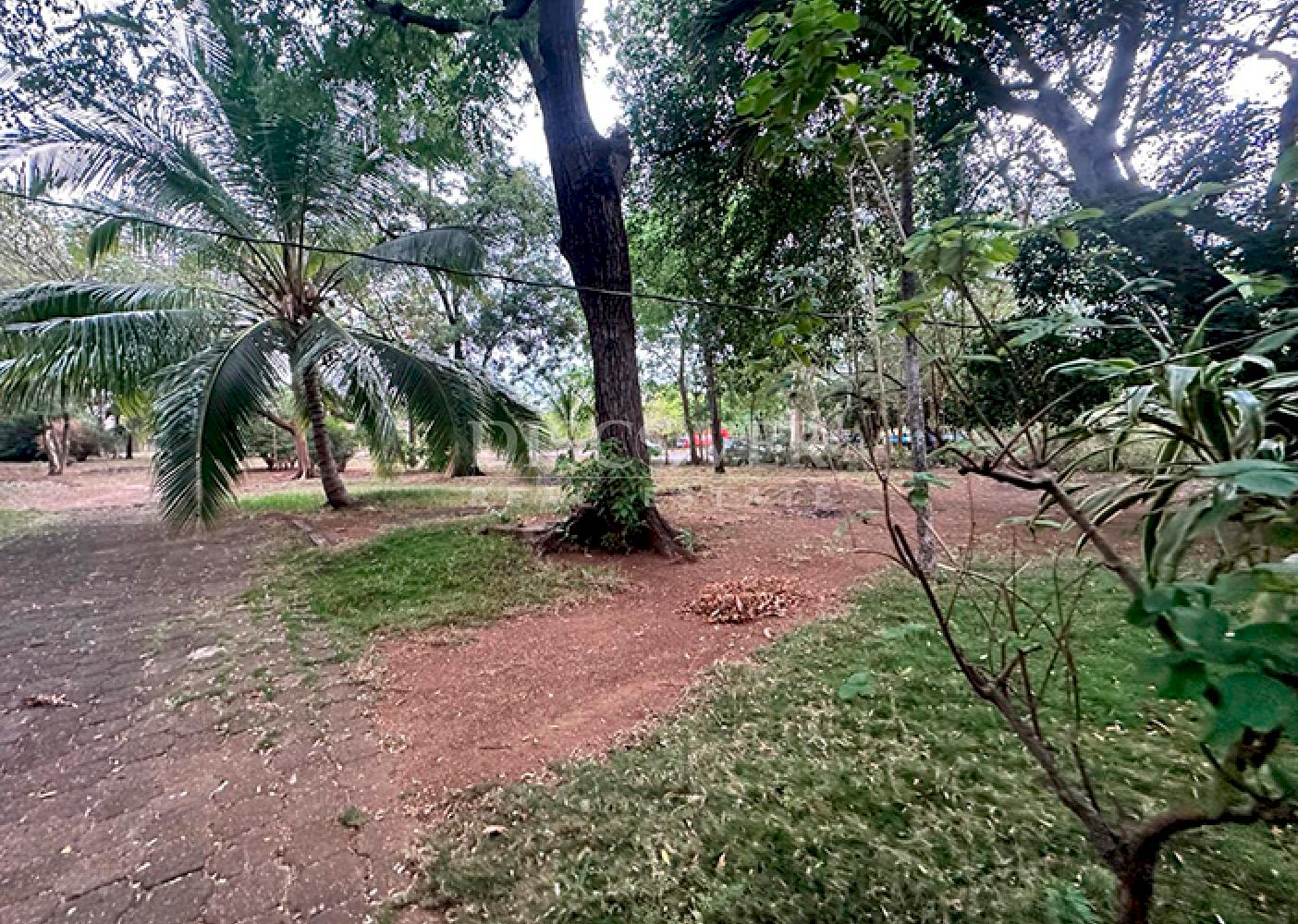 Imagen 10 de la galería