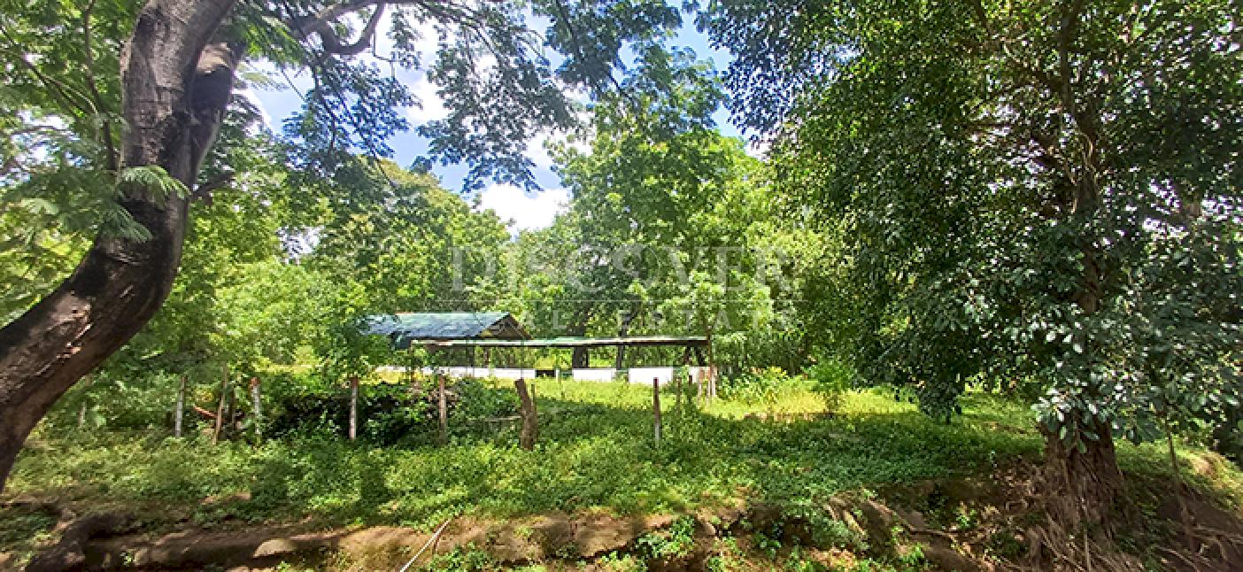  Land/Farm for sale in Sabana Grande - Nindirí