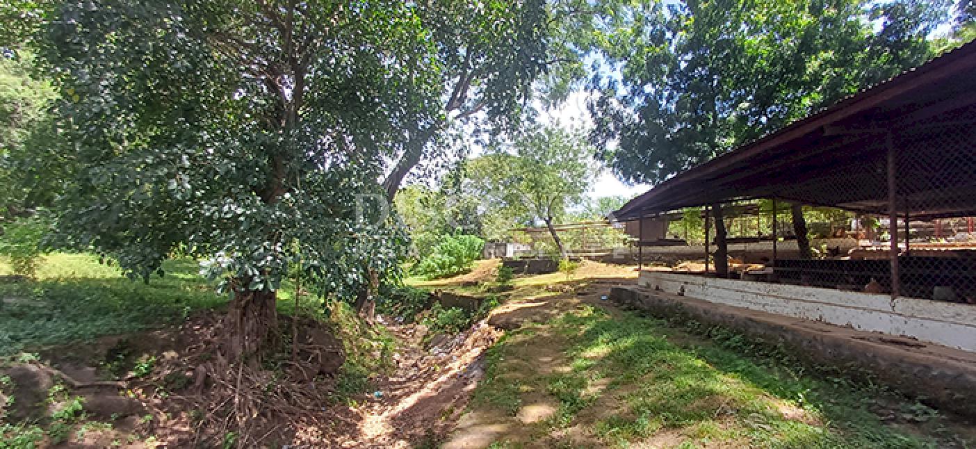  Land/Farm for sale in Sabana Grande - Nindirí