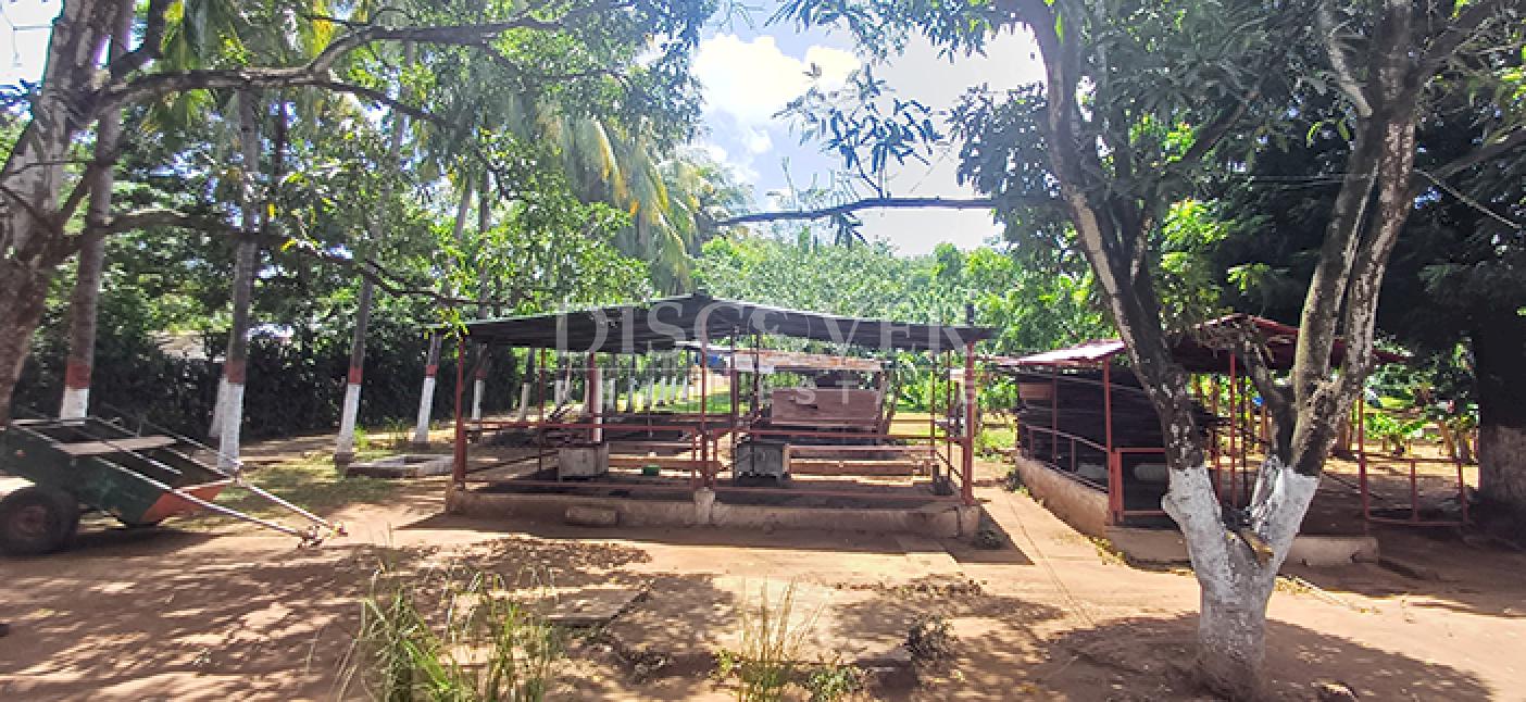  Land/Farm for sale in Sabana Grande - Nindirí