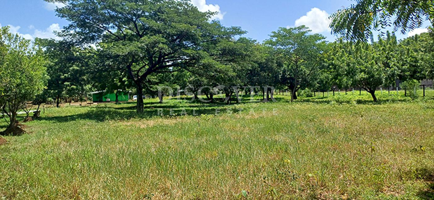  Land/Farm for sale in Sabana Grande - Nindirí