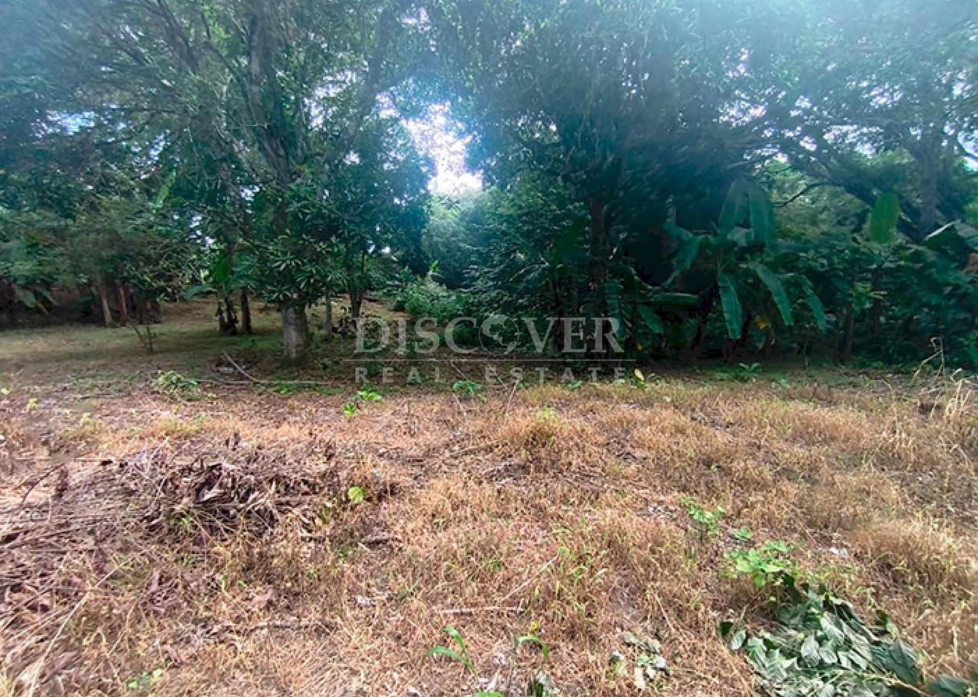 Land facing the highway with buildings for sale - Masatepe