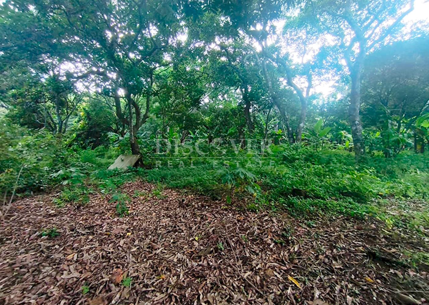 Land facing the highway with buildings for sale - Masatepe