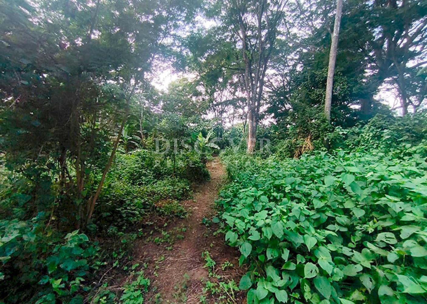 Land facing the highway with buildings for sale - Masatepe