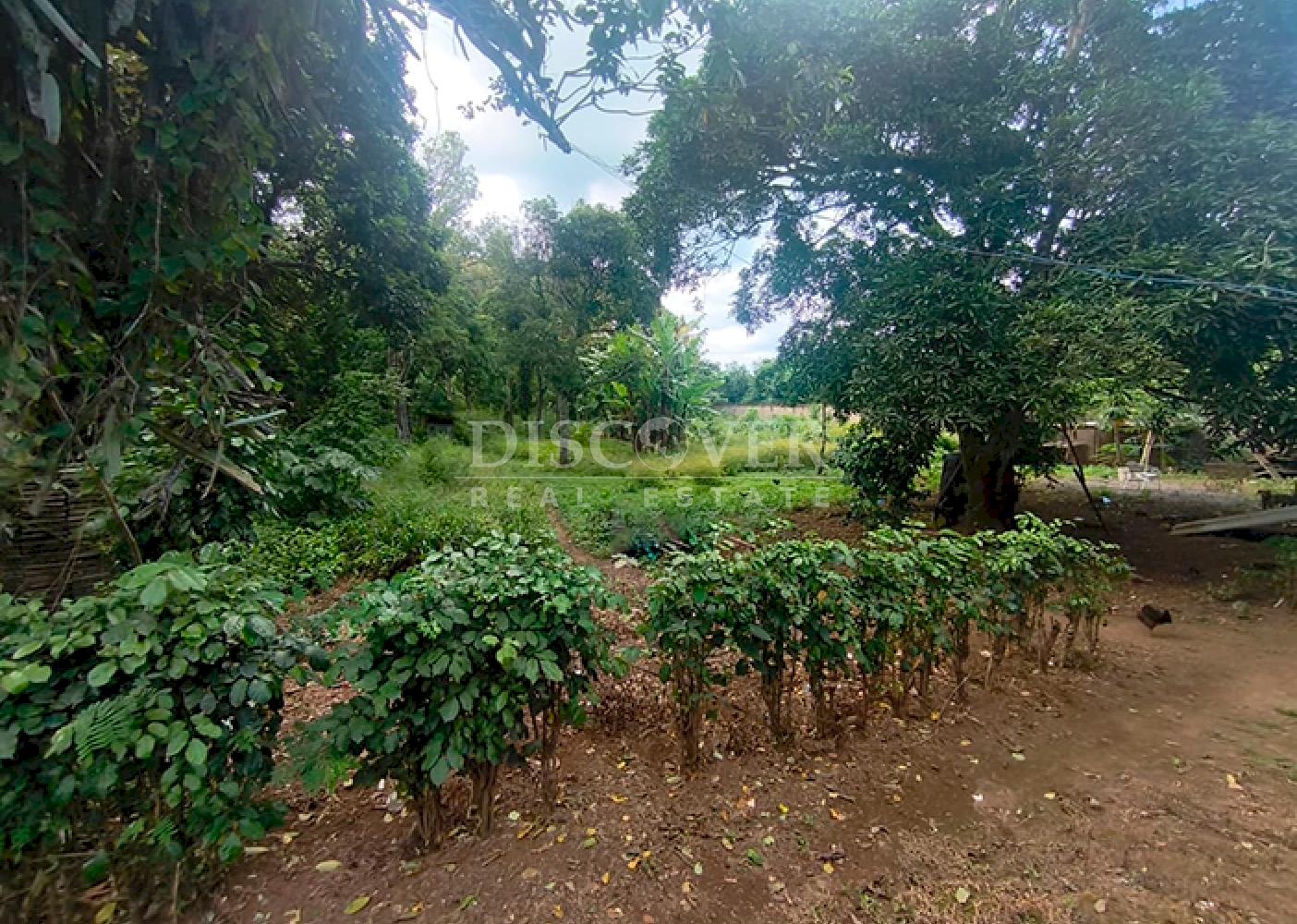 Land facing the highway with buildings for sale - Masatepe