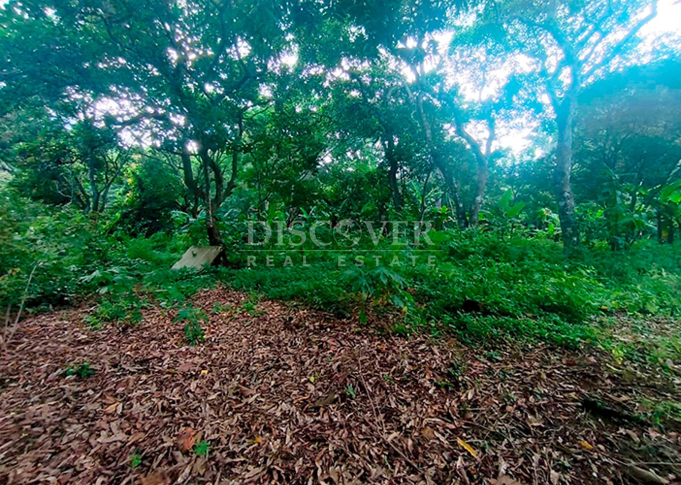 Land facing the highway with buildings for sale - Masatepe