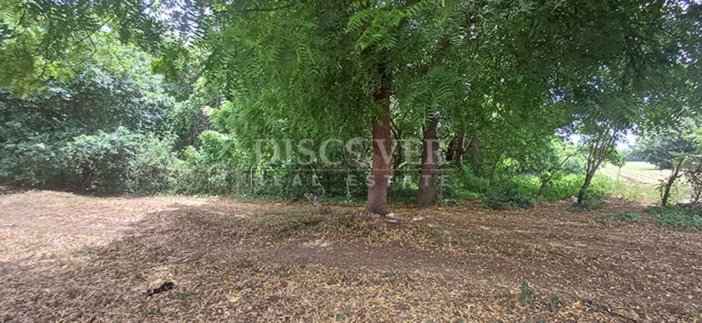 Imagen 4 de la galería