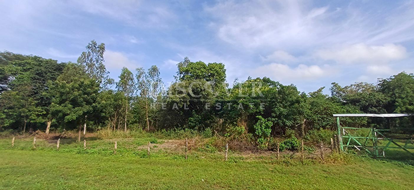  Land for sale, ideal for a winery or commercial warehouse - Road to Sabana Grande