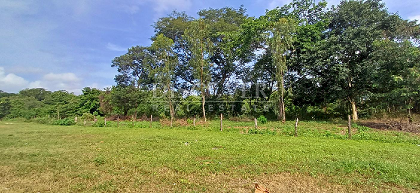 Land for sale, ideal for a winery or commercial warehouse - Road to Sabana Grande