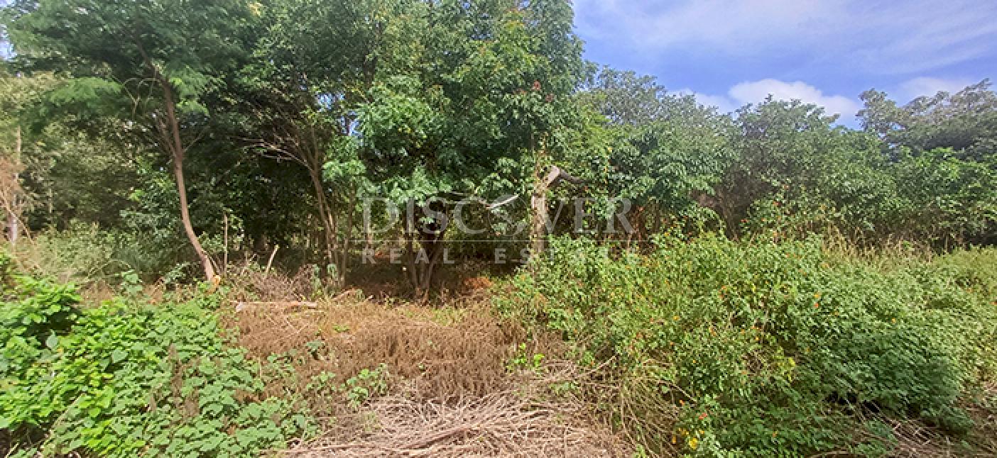  Land for sale, ideal for a winery or commercial warehouse - Road to Sabana Grande