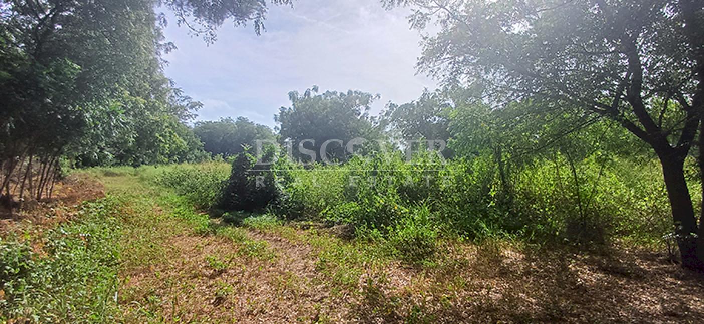  Land for sale, ideal for a winery or commercial warehouse - Road to Sabana Grande