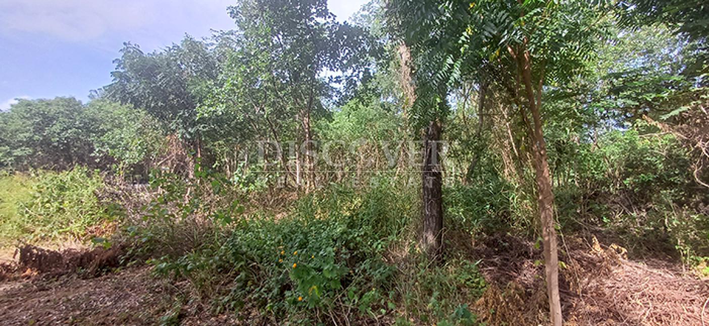  Land for sale, ideal for a winery or commercial warehouse - Road to Sabana Grande