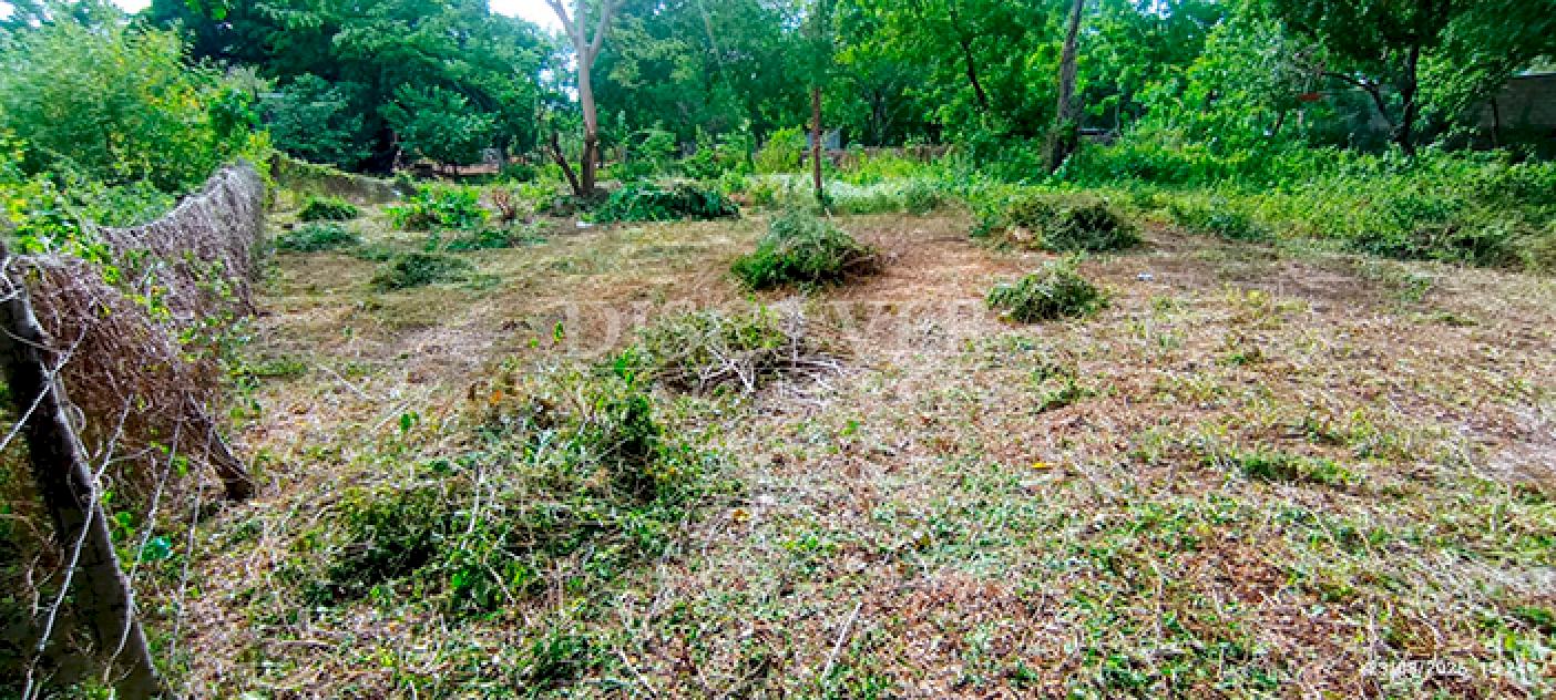 Land for sale in a developing area in Managua