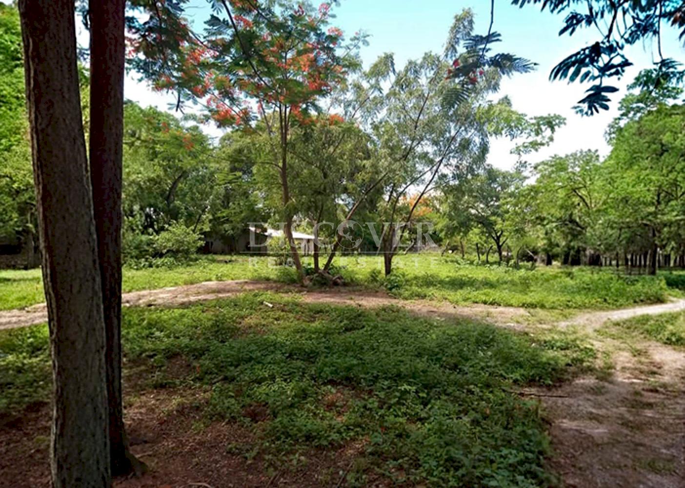 Land for sale in a developing area in Managua