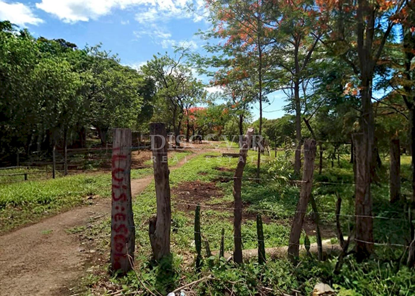 Land for sale in a developing area in Managua