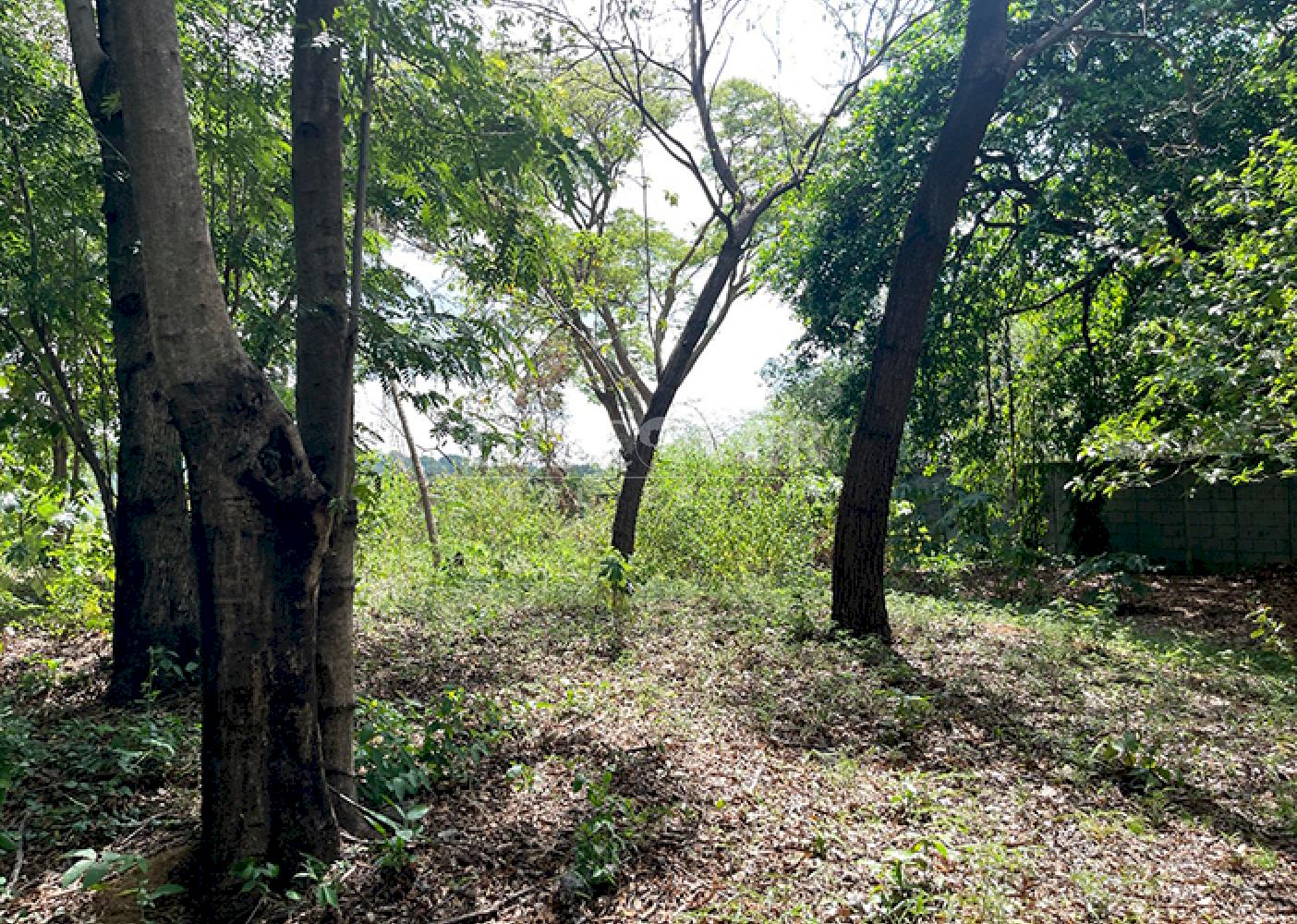 Land for sale with panoramic views on Carretera Sur