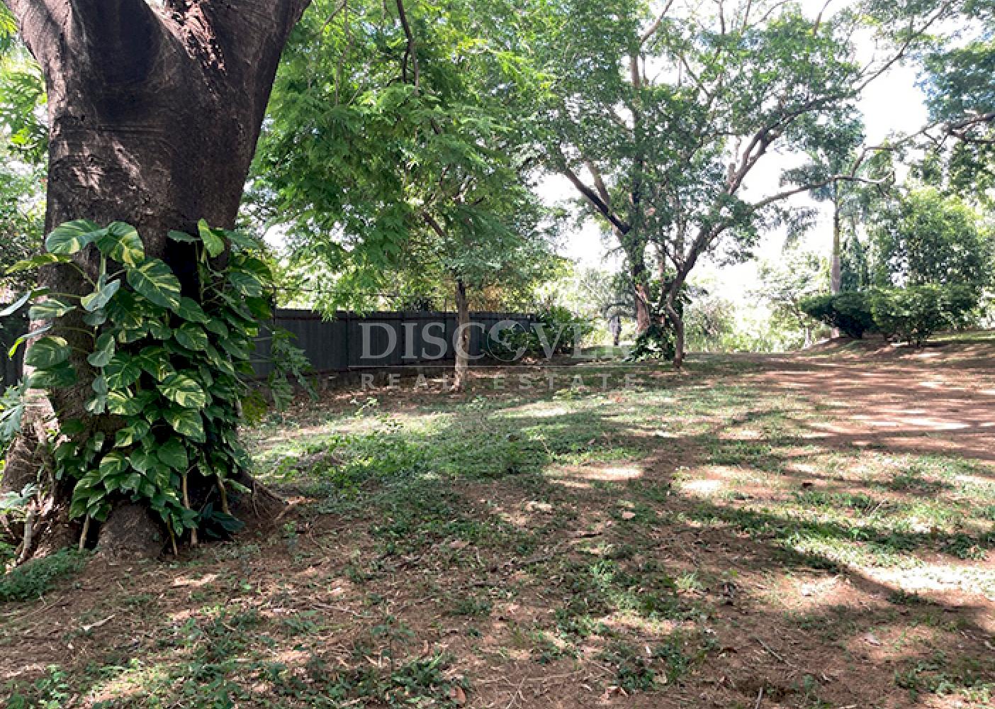 Land for sale with panoramic views on Carretera Sur