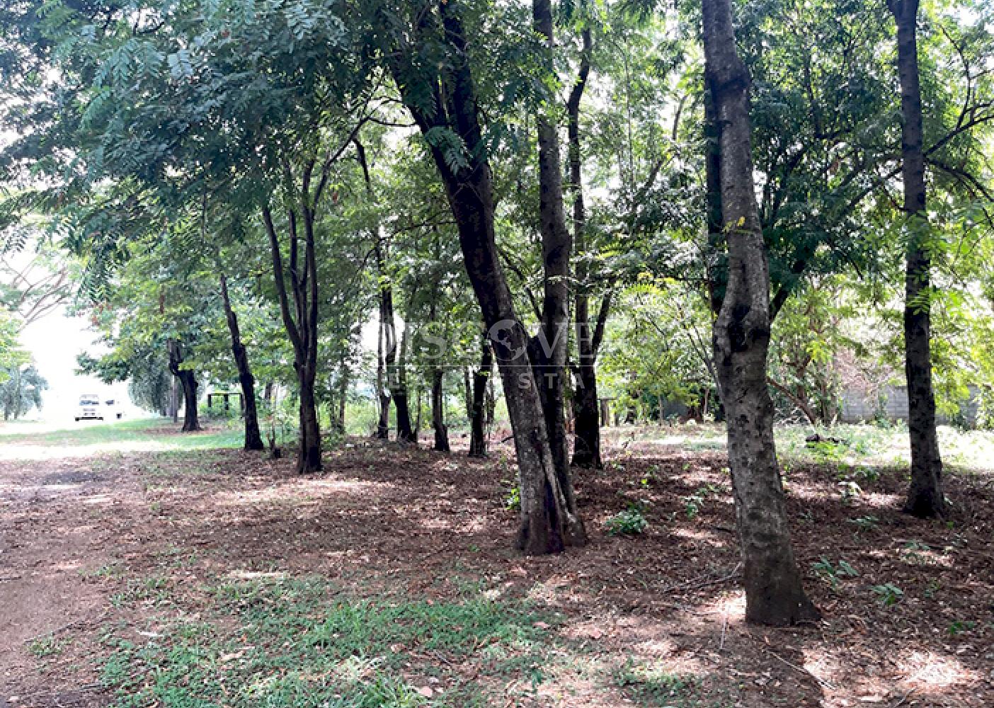 Land for sale with panoramic views on Carretera Sur