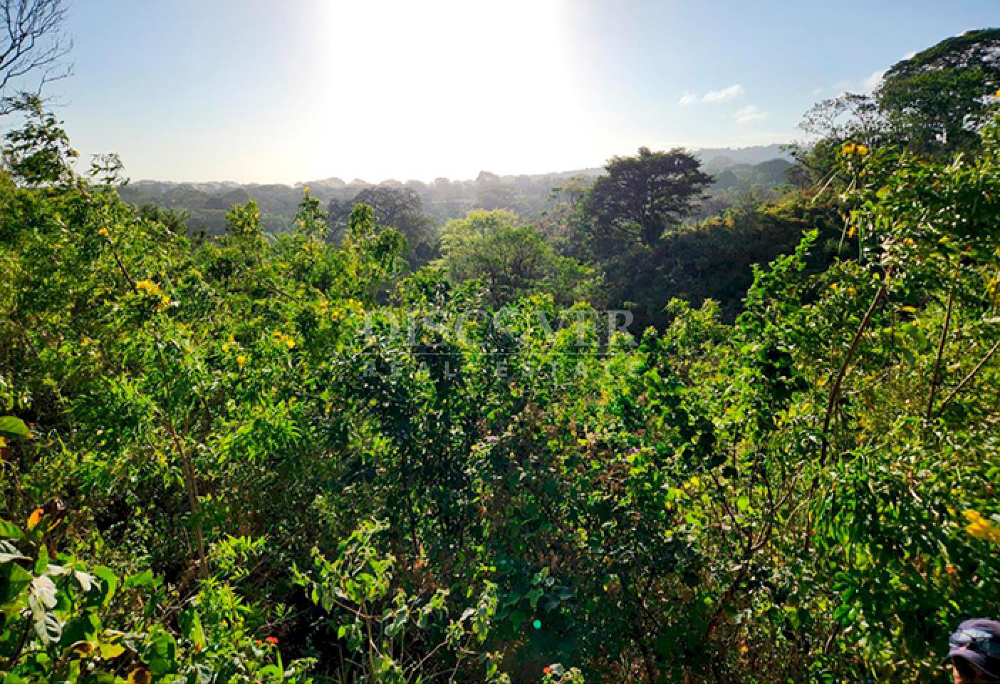  Land for Sale in Villa Fontana – Spacious with Panoramic Views