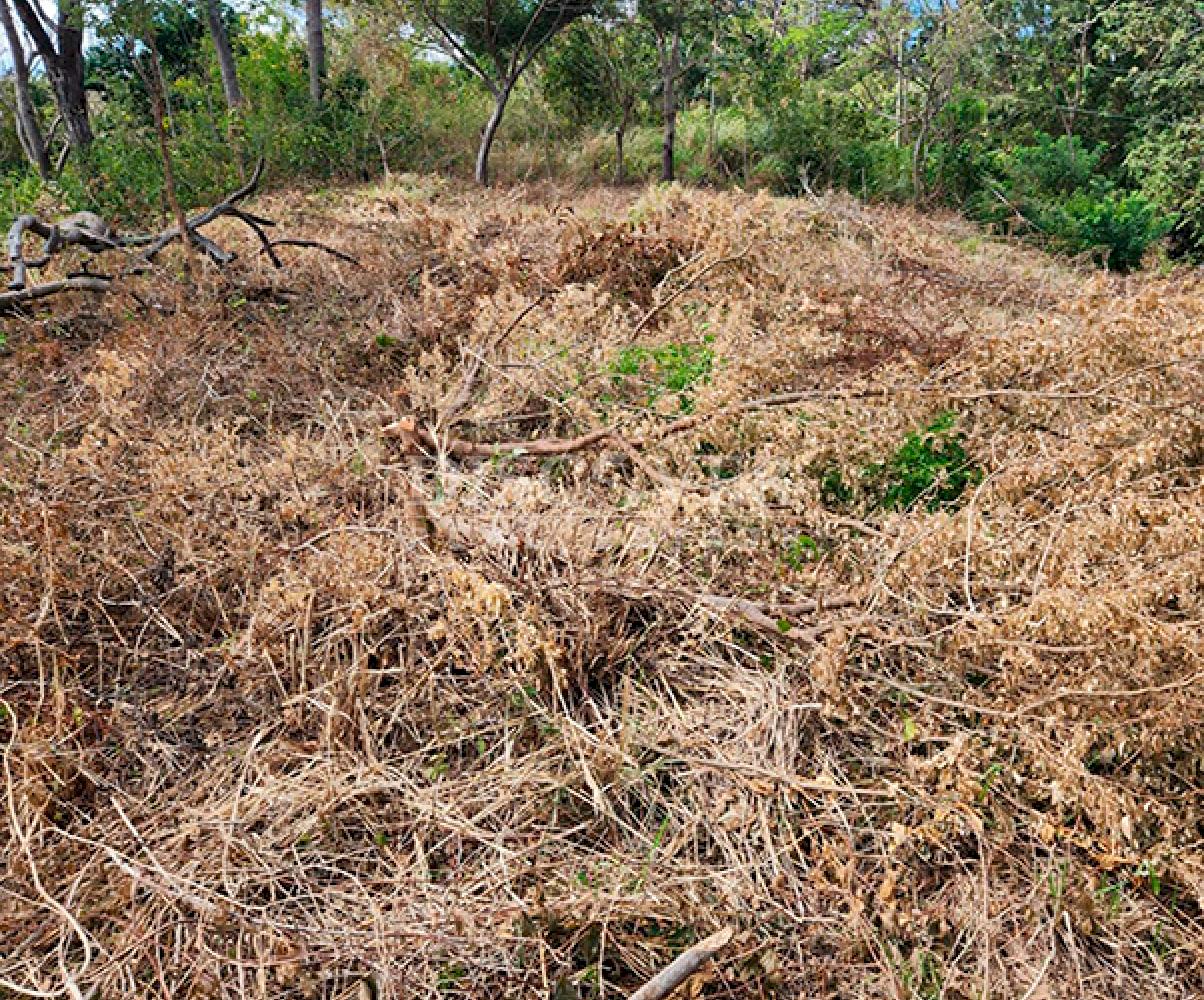  Land for Sale in Villa Fontana – Spacious with Panoramic Views