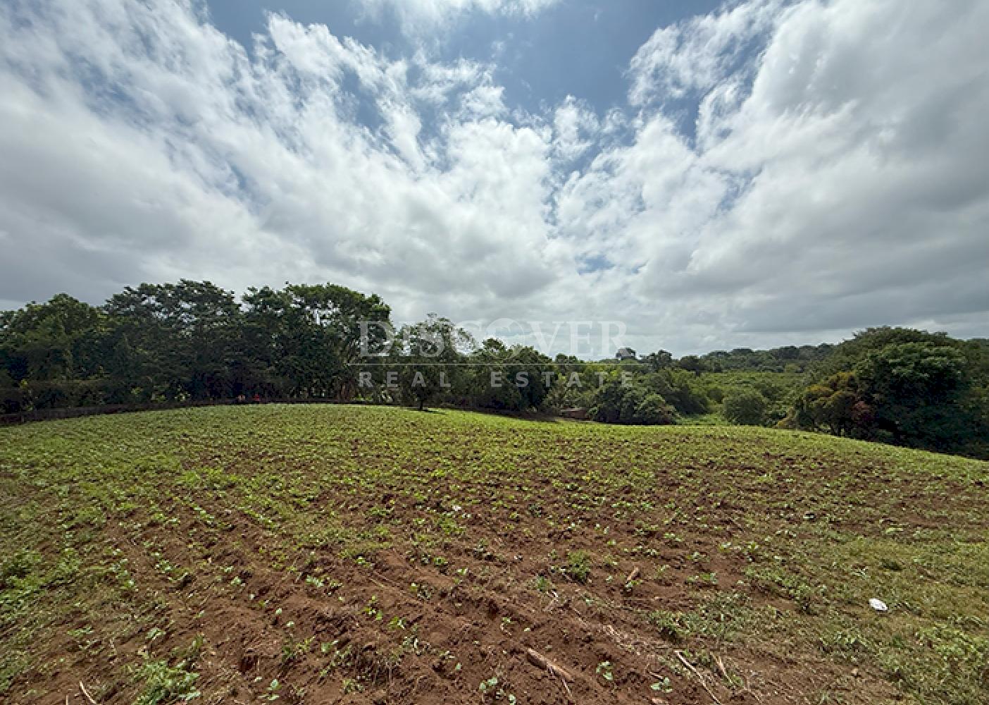  Land for Sale in Villa Fontana – Ideal for Condominium or Exclusive Residential Development