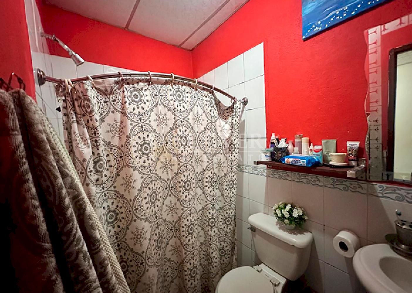 Imagen 7 de la galería