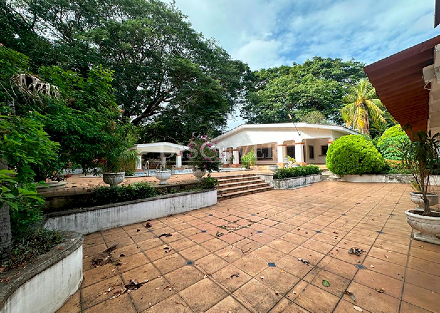  Spacious house for sale/for rent on Carretera Vieja to León