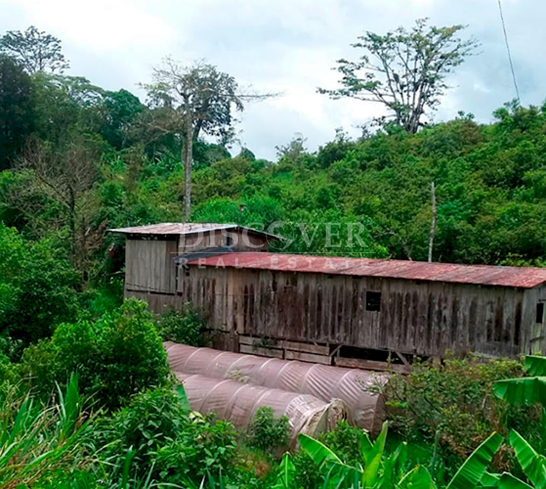  Coffee farm for sale in Jinotega - High production and excellent location