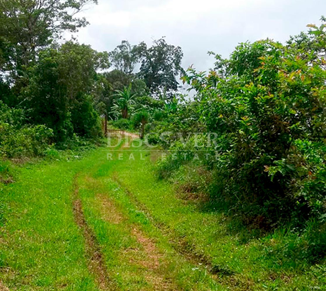  Coffee farm for sale in Jinotega - High production and excellent location