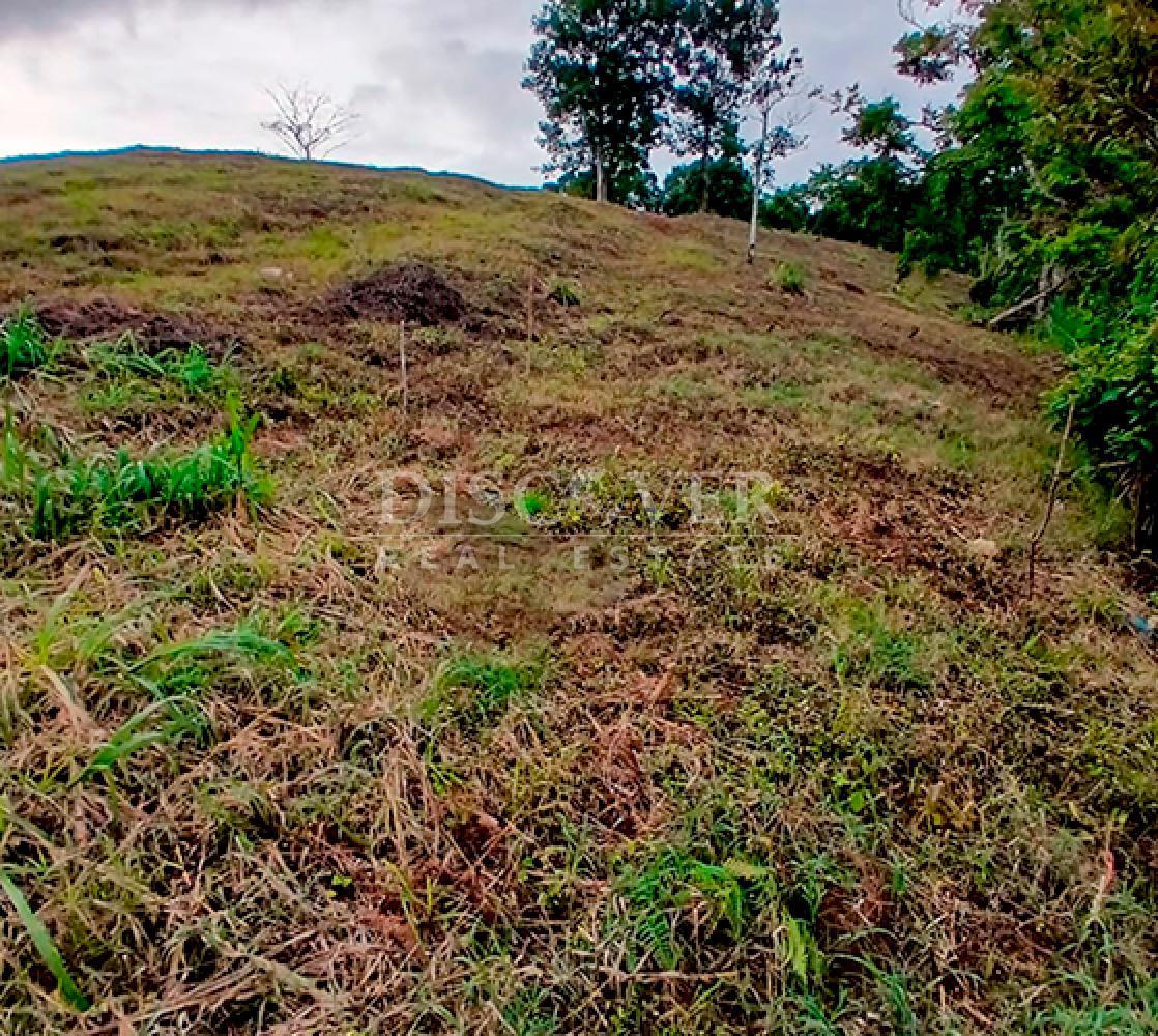  Coffee farm for sale in Jinotega - High production and excellent location