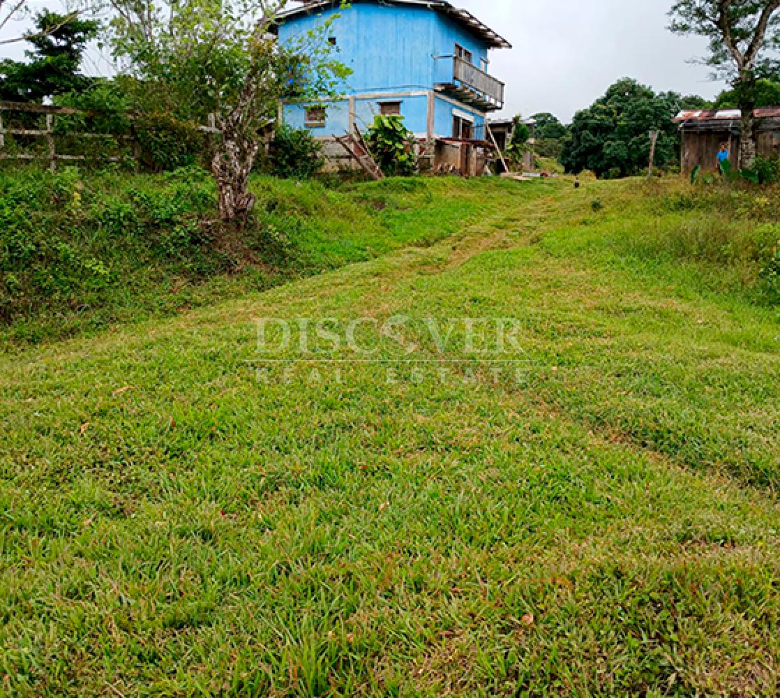  Coffee farm for sale in Jinotega - High production and excellent location