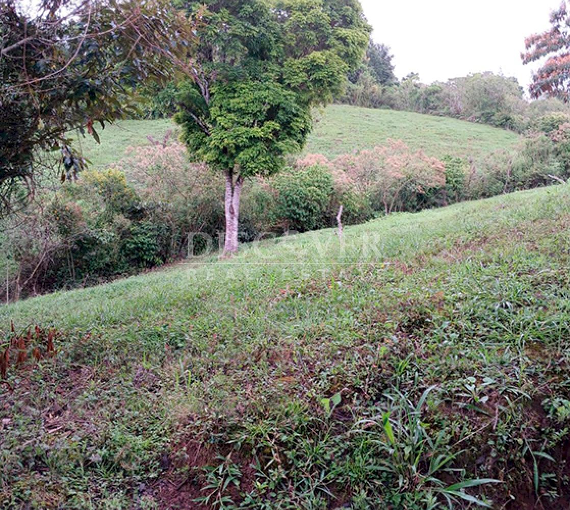  Coffee farm for sale in Jinotega - High production and excellent location