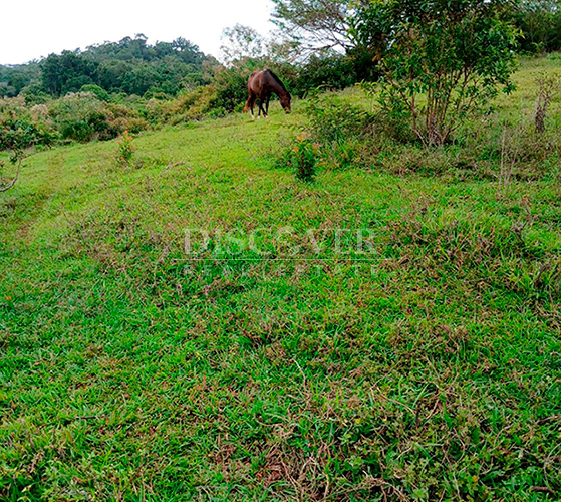  Coffee farm for sale in Jinotega - High production and excellent location